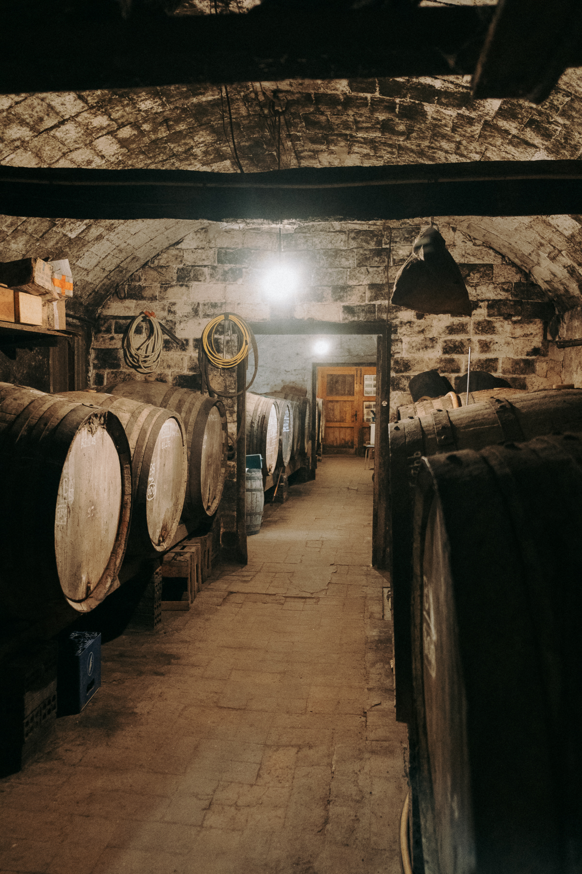 Mas Molla Winery​ Cellar